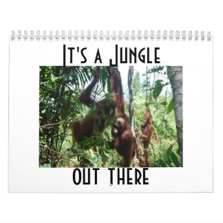 Calendrier La photographie d'Orangutan animal mou