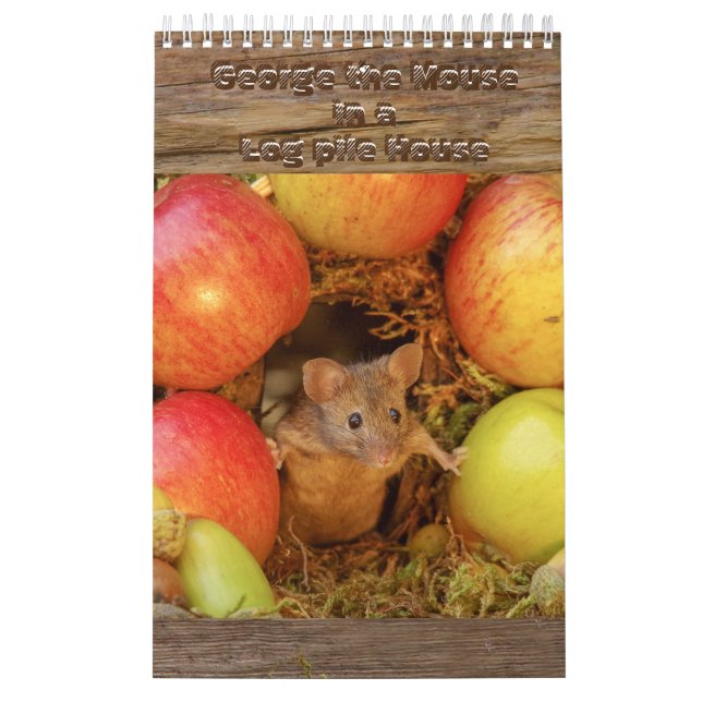 Calendrier La souris dans la pile de billes Maison  (Protection)