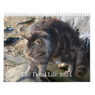 Calendrier La Vie Férale 2024 Beaux Chats Naturels Calenda