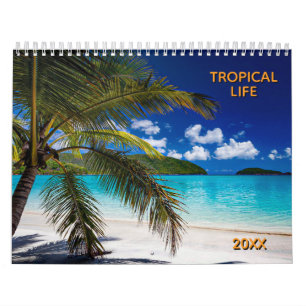 Calendrier La vie tropicale avec de belles photos de plage