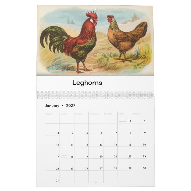 Calendrier La volaille de Biggle classent (Jan 2027)