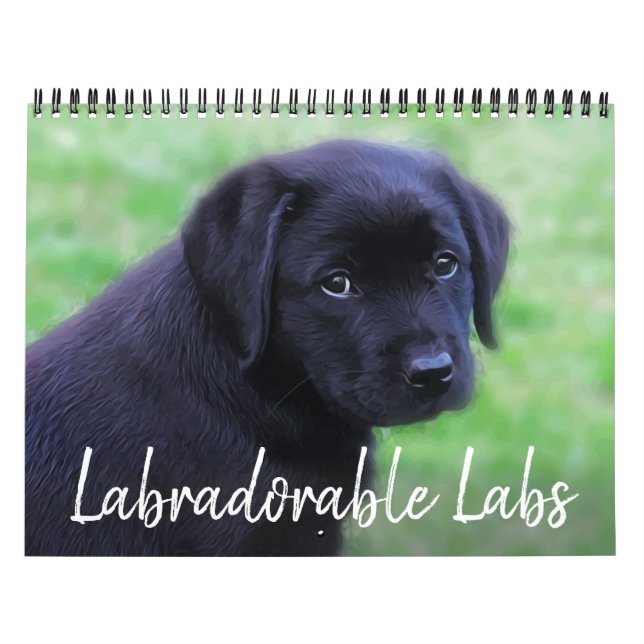 Calendrier Laboratoires - Black Labrador Retriever (Protection)