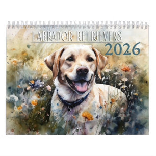 Calendrier Labrador Retriever 2026
