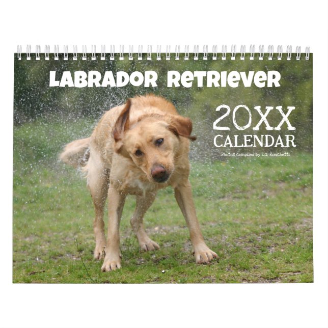 Calendrier Labrador Retriever jaune Chien mignon (Protection)