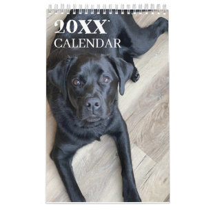 Calendrier Labrador Retriever noir 2026