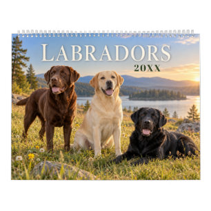 Calendrier Labradors à travers les saisons