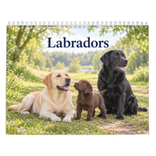 Calendrier Labradors et chiots Labradors