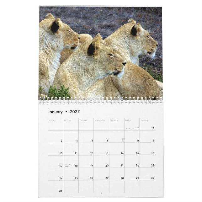 Calendrier L'Afrique du Sud (Jan 2027)