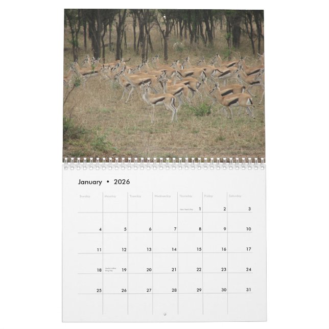 Calendrier L'Afrique : La Tanzanie et le Kenya (Jan 2026)