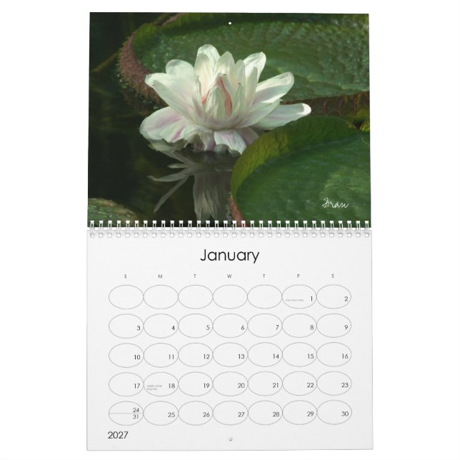 Calendrier laissez 2013 briller (Jan 2027)