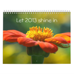 Calendrier laissez 2013 briller