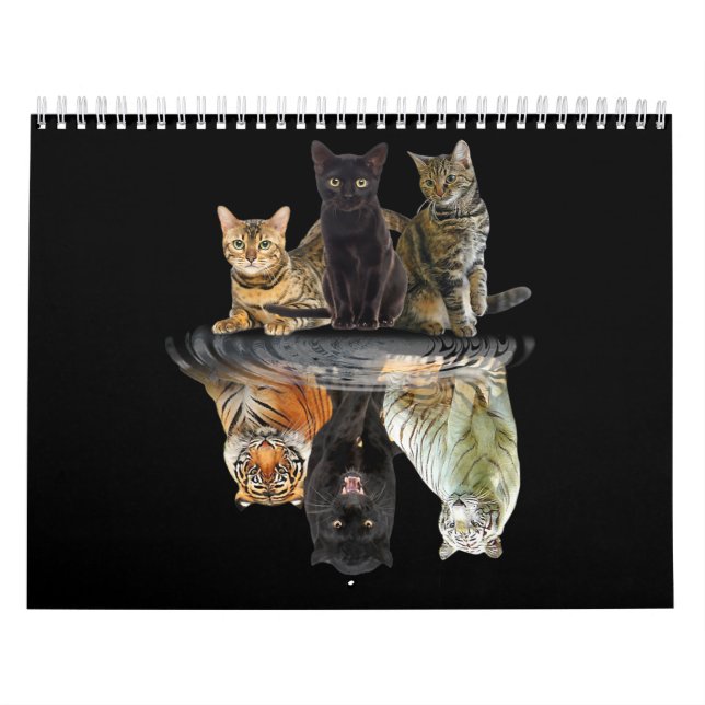 Calendrier L'ami des chats Amoureux des chats Tigre mou (Protection)