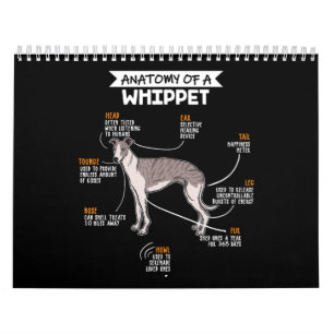 Calendrier l'anatomie d'un chien blanc un cadeau d'amoureux d