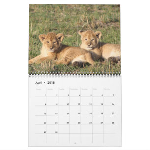 Calendrier L'animal choie le destin de destin d'amour de