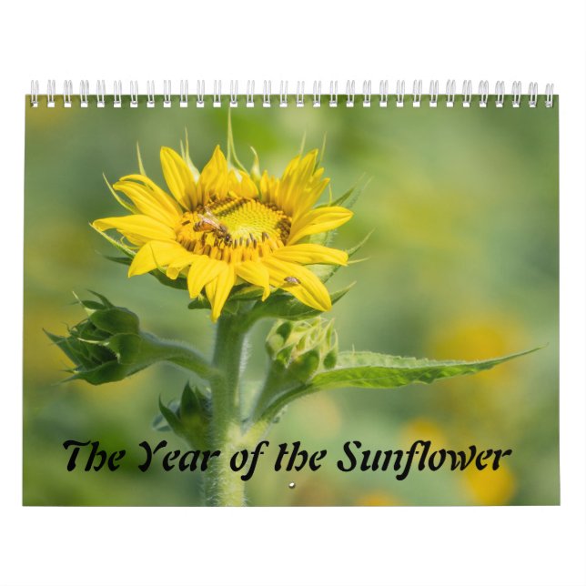 Calendrier L'année du tournesol (Protection)