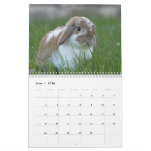 Calendrier Lapins 2016 - 12 mois de lapins mignons