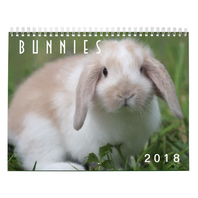 Calendrier Lapins 2018 - 12 mois de lapins mignons