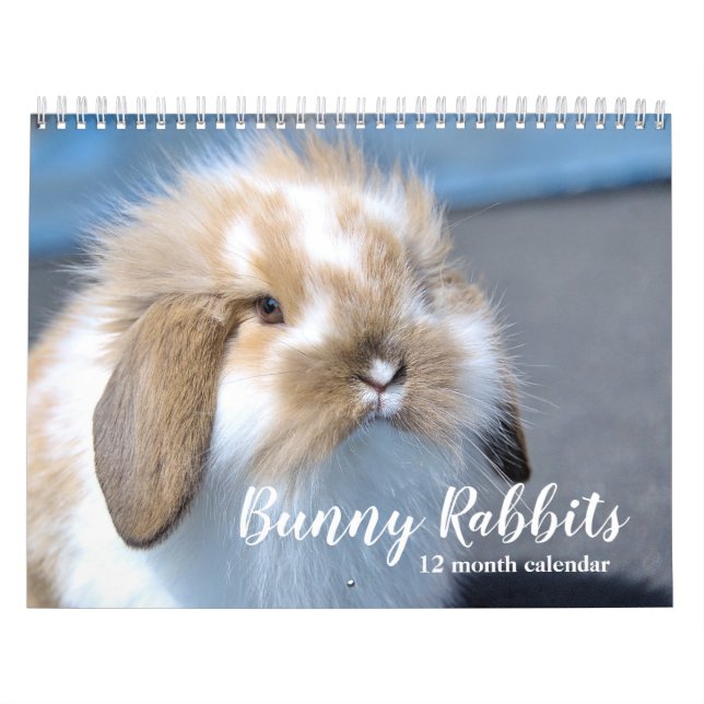 Calendrier Lapins Doux 2027 (Protection)