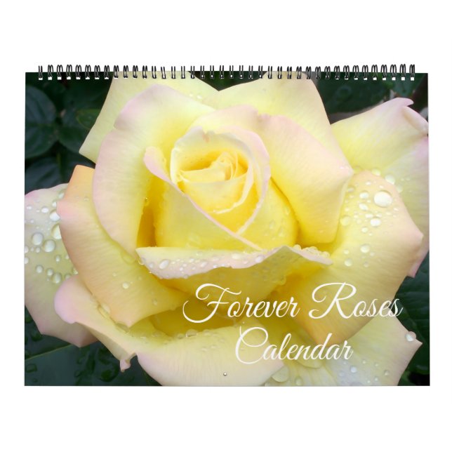 Calendrier Large Size Forever Roses Calendar (Protection)