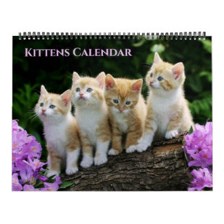 Calendrier Large Size Kittens Calendar