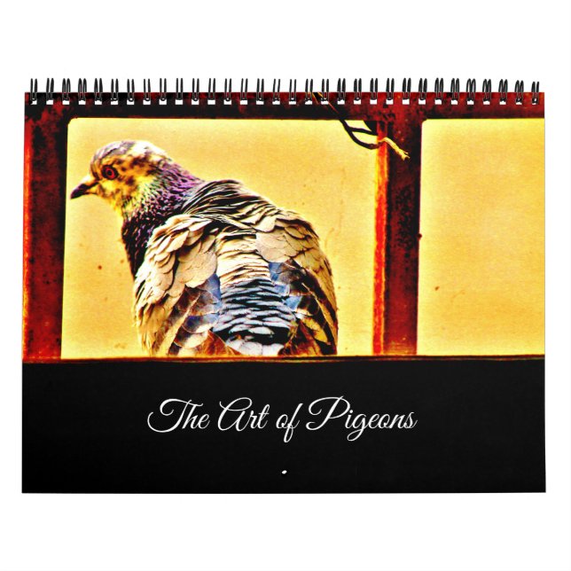 Calendrier L'Art des pigeons (Protection)