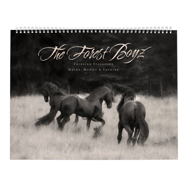 Calendrier Le Boyz de la forêt - Sauvez la nature (Protection)