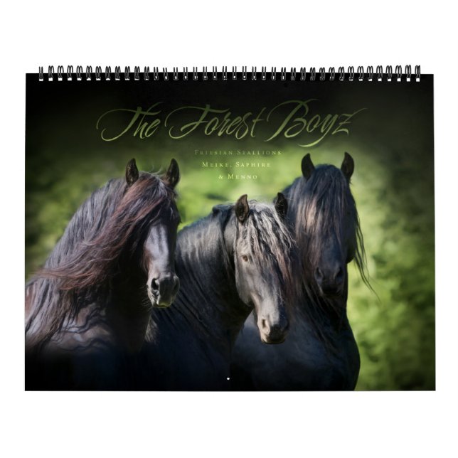 Calendrier Le Boyz forestier - Vivre le rêve (Protection)