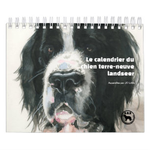 Calendrier Le chien terre-neuve