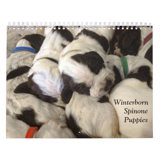 Calendrier Le ~ de Winterborn Spinone a mis à jour le Med. de (Protection)