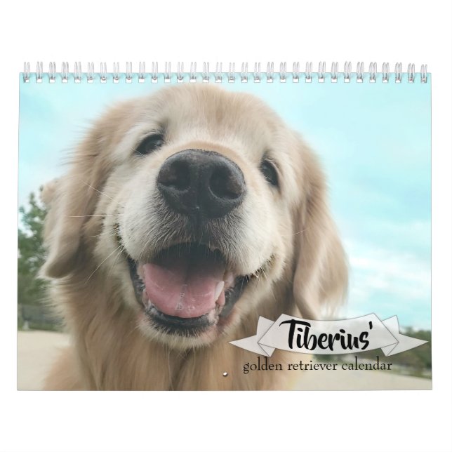 Calendrier Le golden retriever 2019 de Tiberius AugieDoggy (Protection)