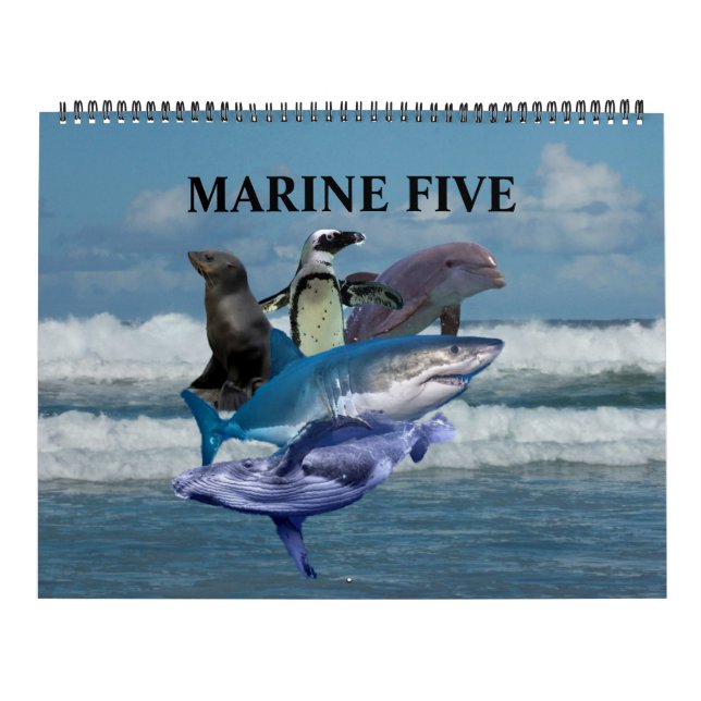 Calendrier Le Marine Five (Protection)