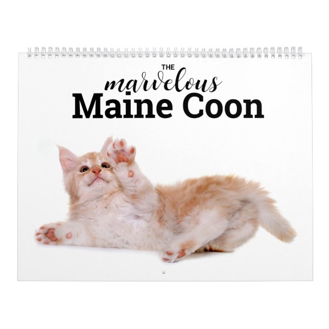 Calendrier Le merveilleux Maine Coon Calender (Protection)
