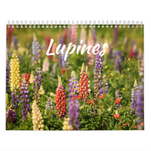 Calendrier Le Monde des Lupines