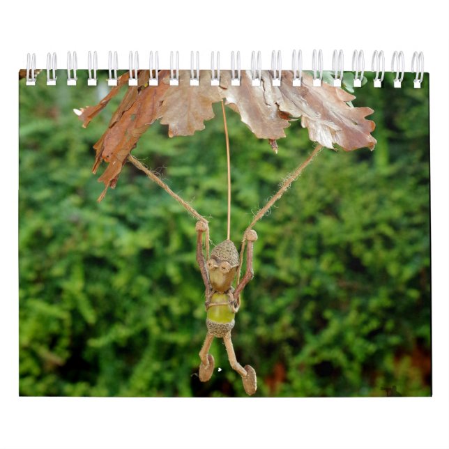 Calendrier Le peuple d'Acorn dans la vallée de Shirebrook (Protection)