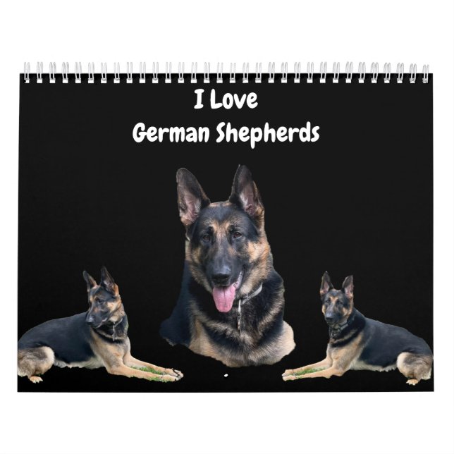 CALENDRIER LE SHEPHERD ALLEMAND (Protection)