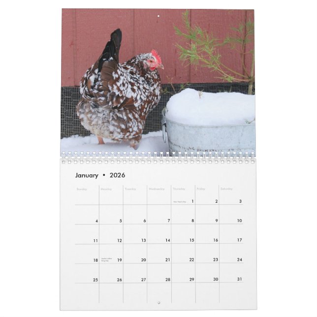 Calendrier : Le troupeau du poussin de poulet (Jan 2026)