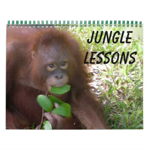 Calendrier Leçons de la jungle