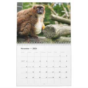 Calendrier Lémurien 2027