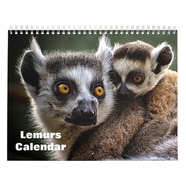 Calendrier Lémuriens 2027 (Protection)