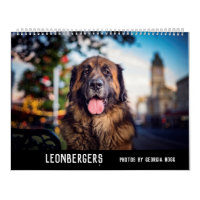 Leonbergers