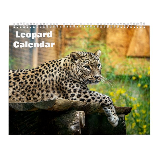Calendrier Léopard 2027 (Protection)