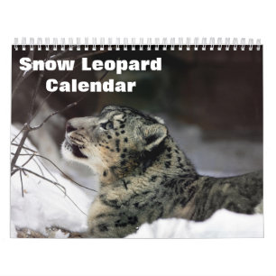 Calendrier Léopard des neiges 2027