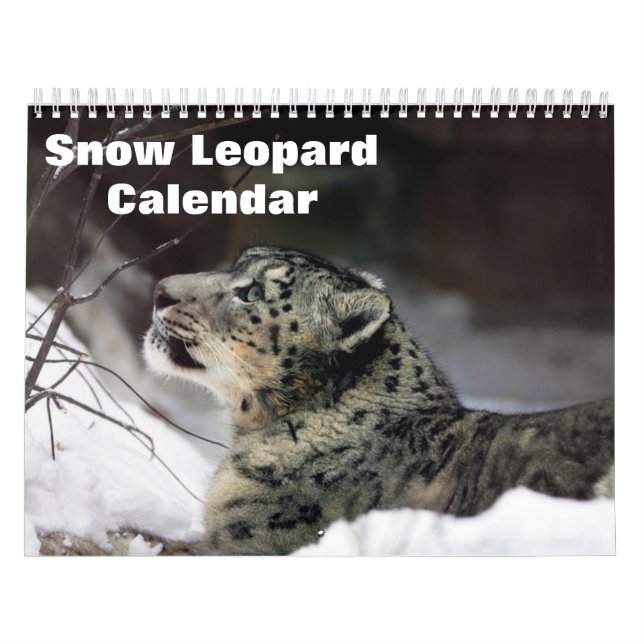 Calendrier Léopard des neiges 2027 (Protection)