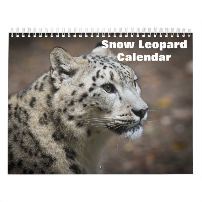 Calendrier Léopard des neiges 2027 (Protection)
