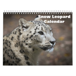 Calendrier Léopard des neiges 2027