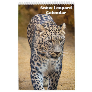Calendrier Léopard des neiges 2027