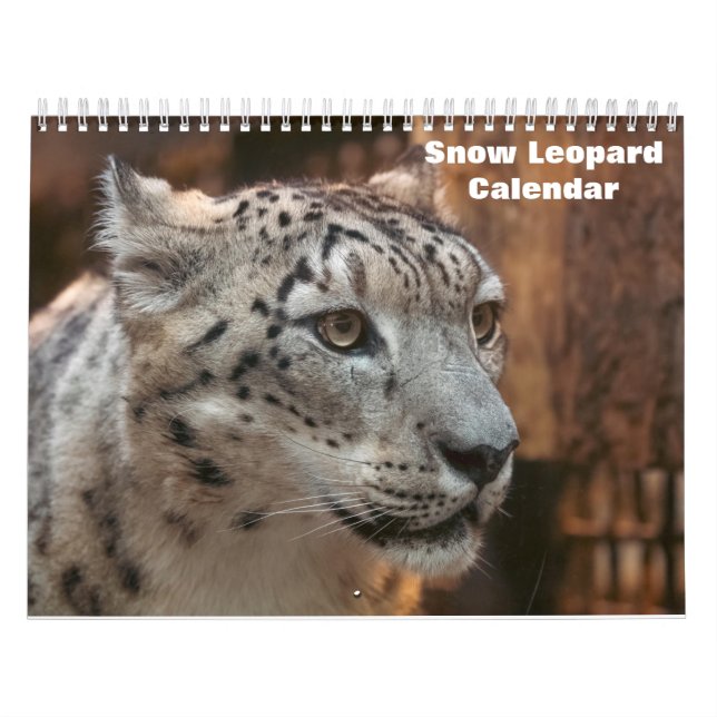 Calendrier Léopard des neiges 2027 (Protection)