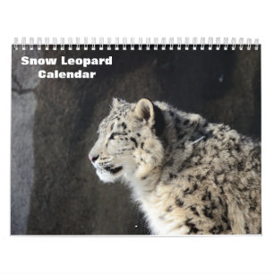 Calendrier Léopard des neiges 2027