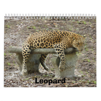 Calendrier LeopardSundari_010, léopard