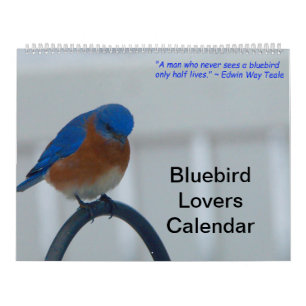 Calendrier Les amateurs de Bluebird